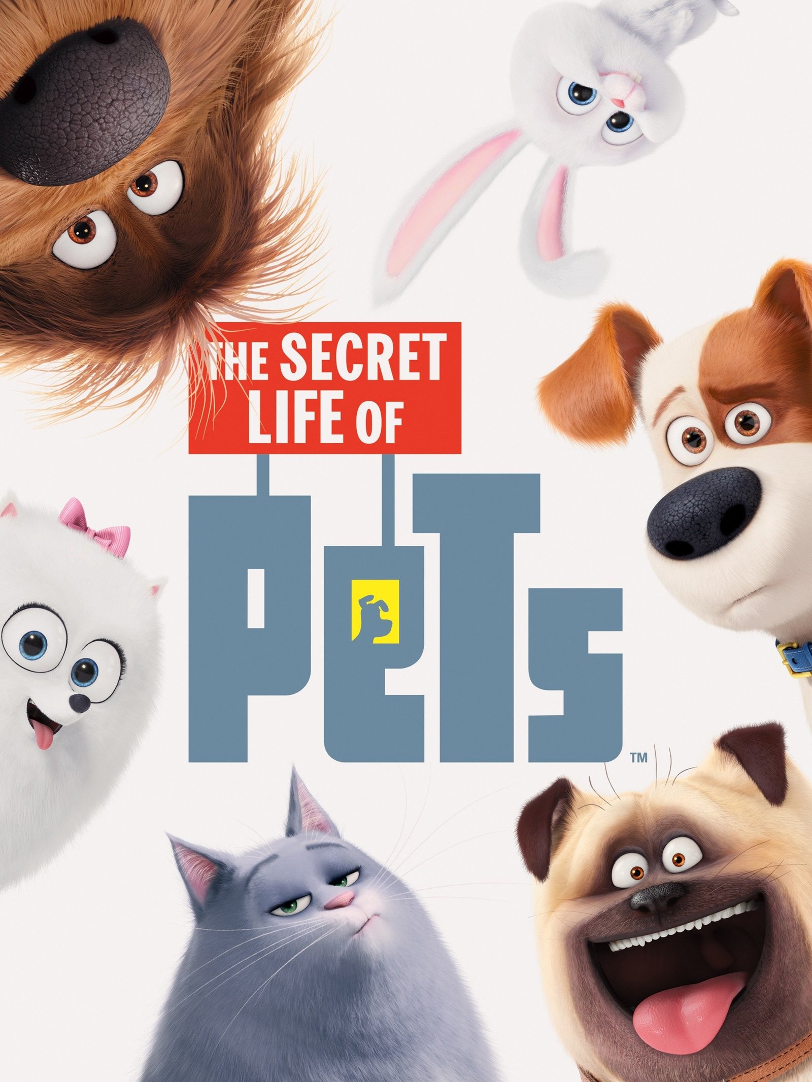 Secret Life of Pets 1 - Kevo